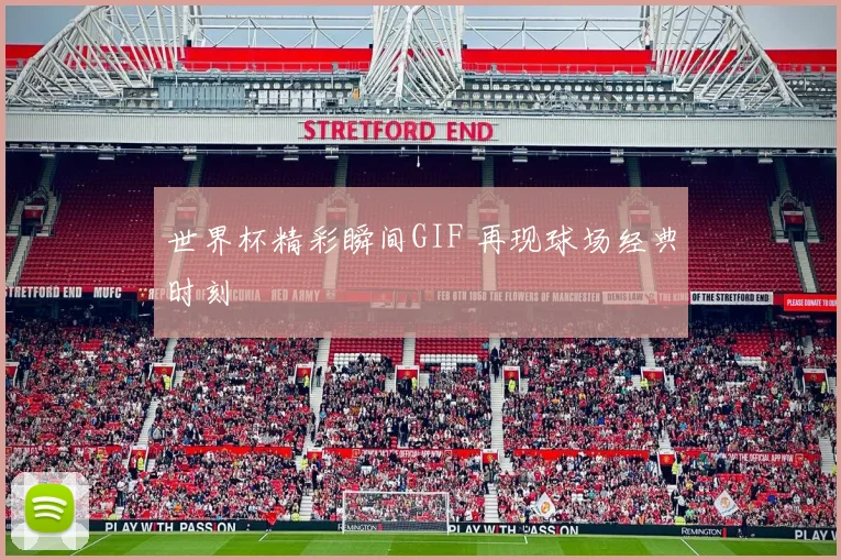世界杯精彩瞬间GIF 再现球场经典时刻