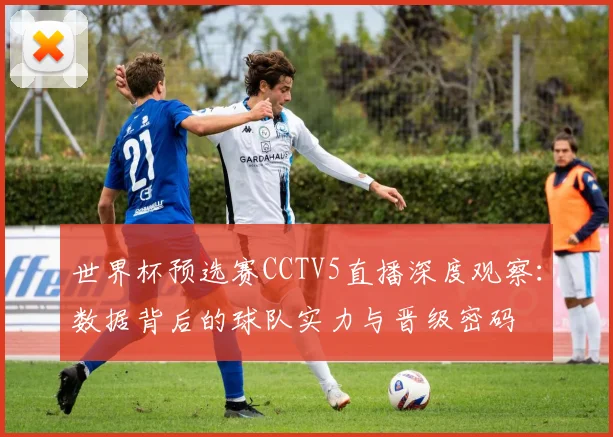 世界杯预选赛CCTV5直播深度观察：数据背后的球队实力与晋级密码