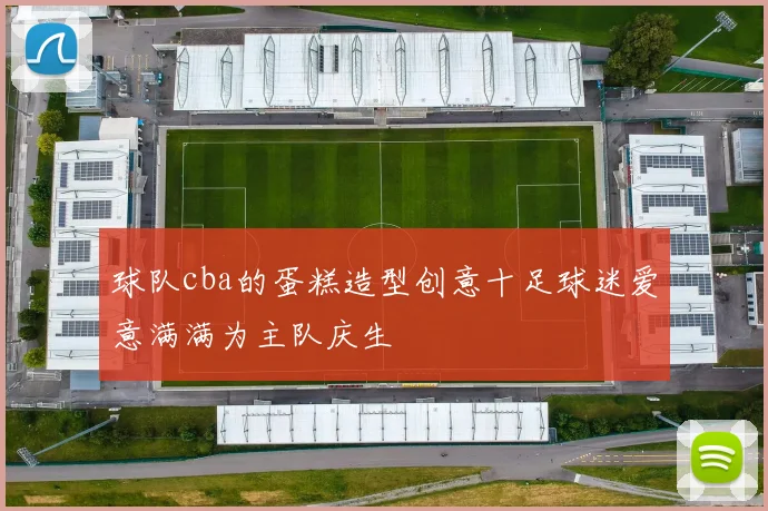 球队cba的蛋糕造型创意十足球迷爱意满满为主队庆生