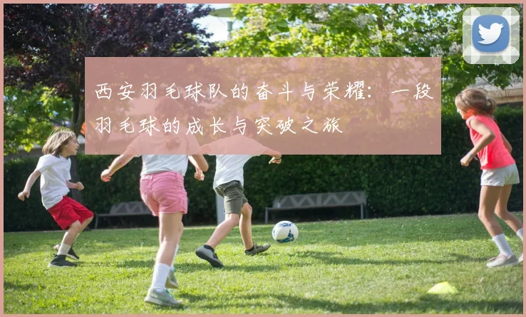 西安羽毛球队的奋斗与荣耀：一段羽毛球的成长与突破之旅