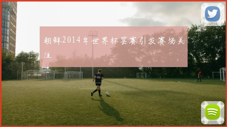 朝鲜2014年世界杯罢赛引发赛场关注