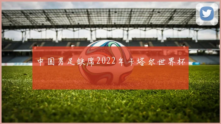 中国男足缺席2022年卡塔尔世界杯