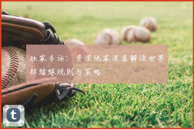 独家专访：资深玩家深度解读世界杯赌球规则与策略